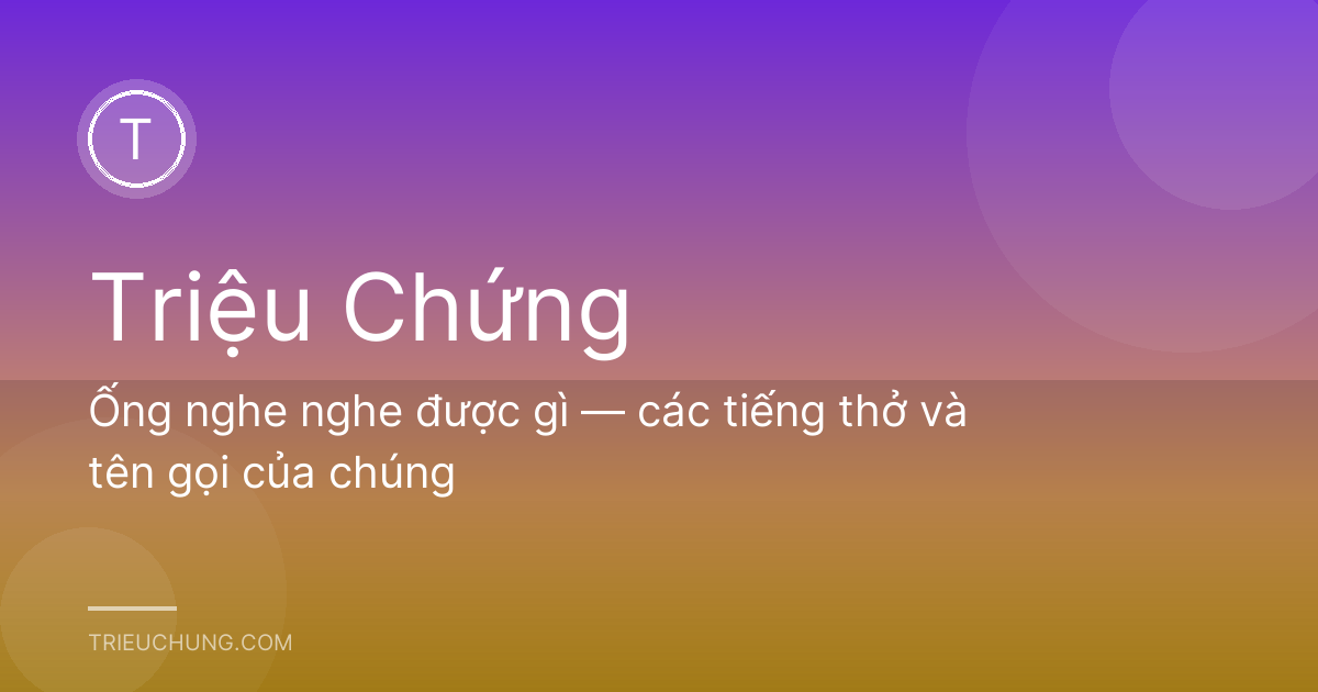 Ống nghe nghe được gì — các tiếng thở và tên gọi của chúng